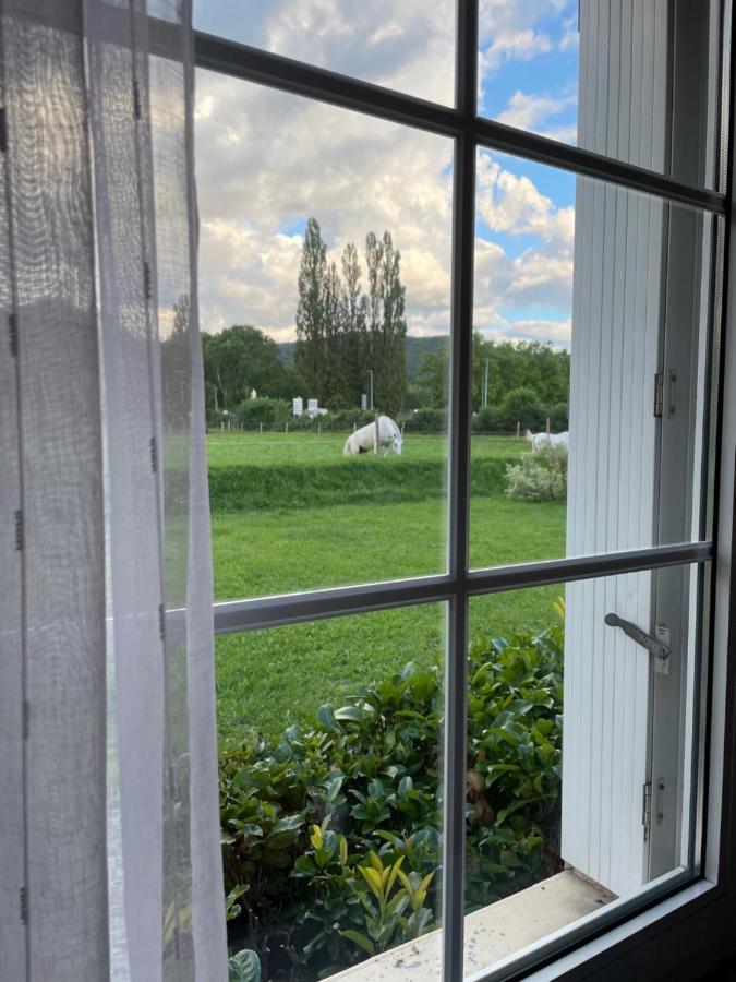 Hotel Saint Odilon Cluny Eksteriør bilde